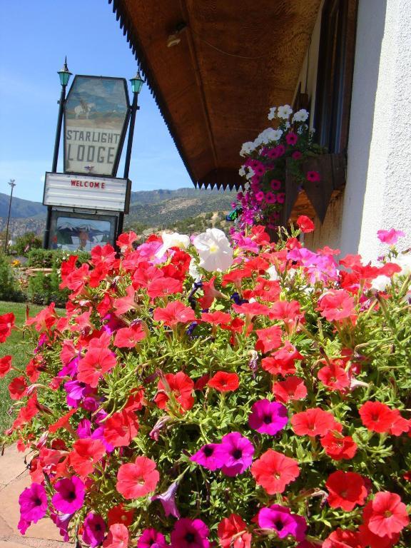 Starlight Lodge Glenwood Springs Ngoại thất bức ảnh